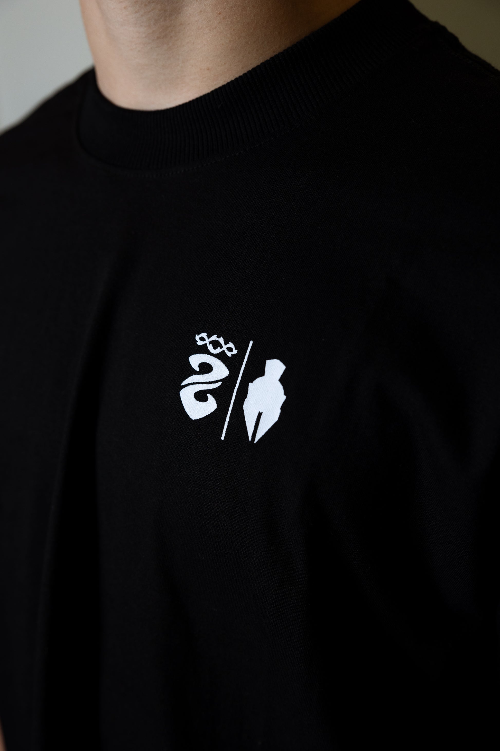 Sparta - Camiseta Overiszed 30.1 - Mata Leão